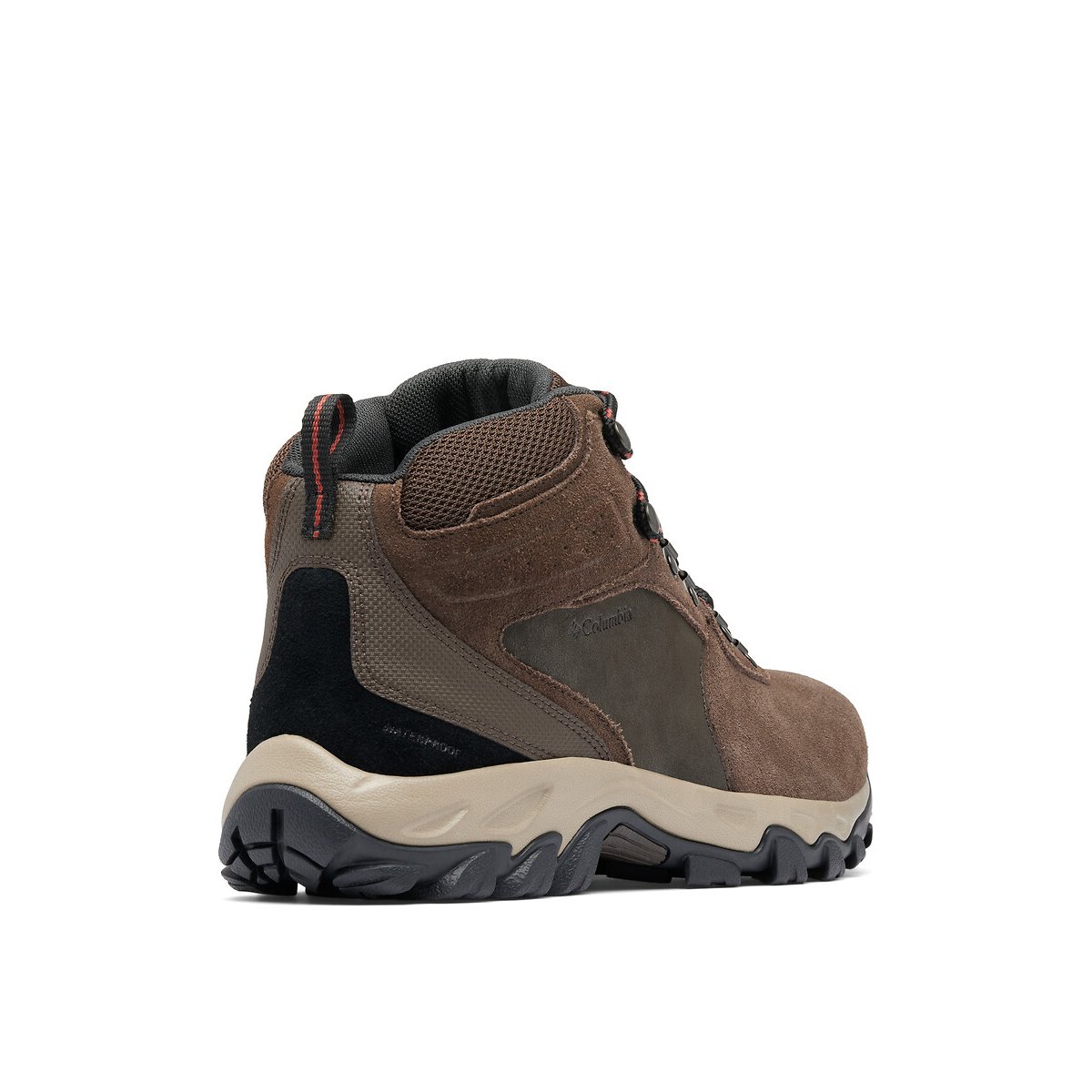 Newton Ridge™ Plus II Suede Hiking Shoes dark brown, COLUMBIA