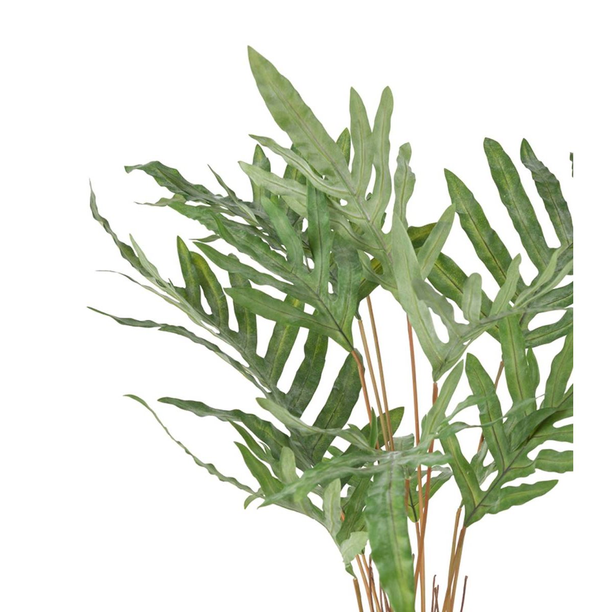 Fougère polypode artificielle H 75 cm, D 63 vert, ARTIFICIELLES