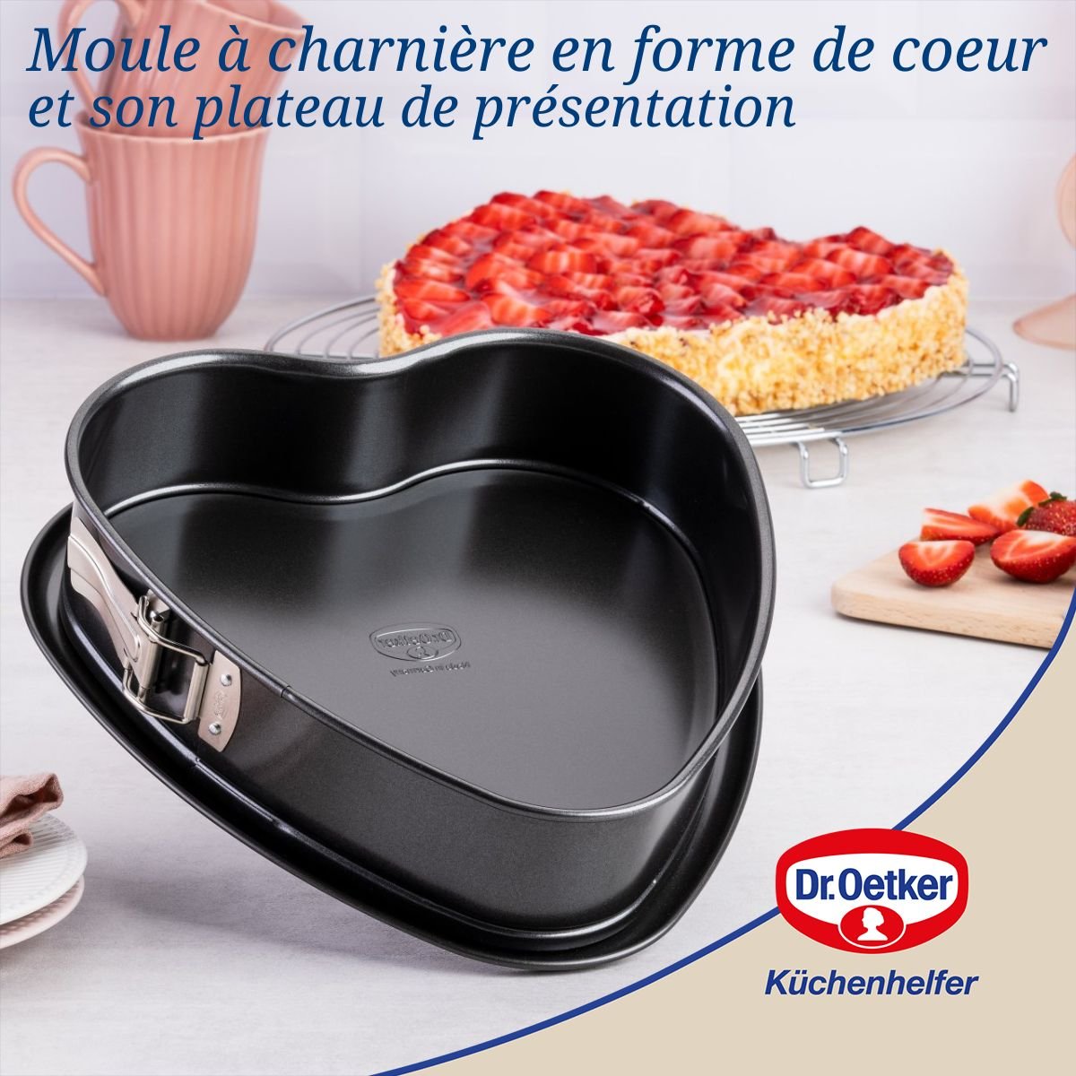 Lot de 2 moules à charnière 25/27 cm en acier TRADITION noir, DR OETKER