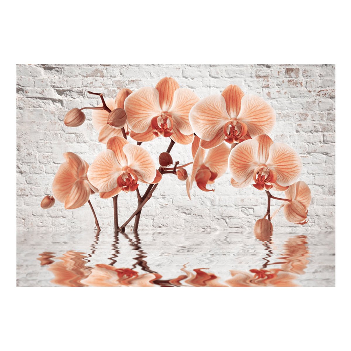 Papier peint intissé panoramique Fleurs The Orange Arc orange / cuivré, EDEN