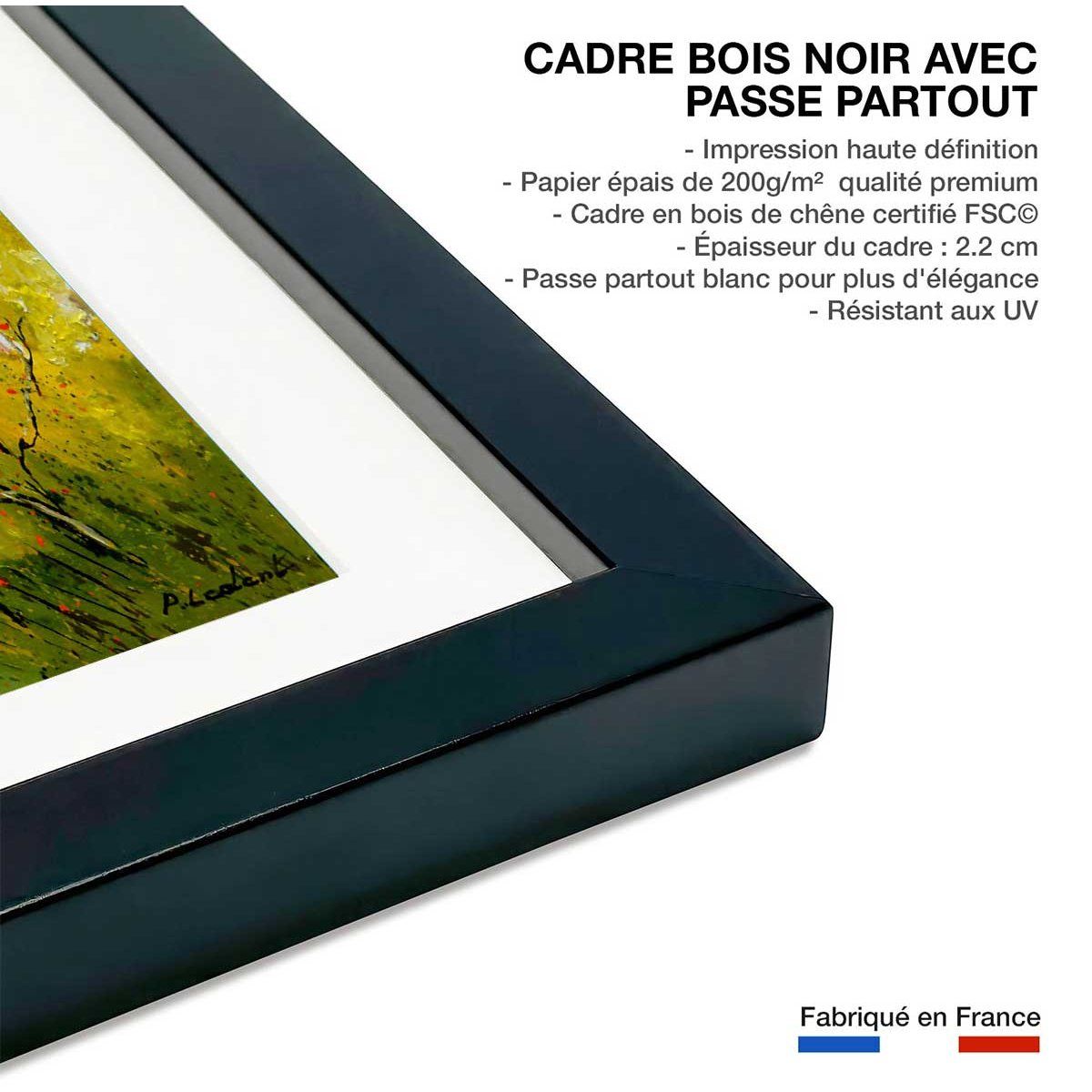 Affiche bouleaux et coquelicots affiche + cadre en bois - noir, HEXOA