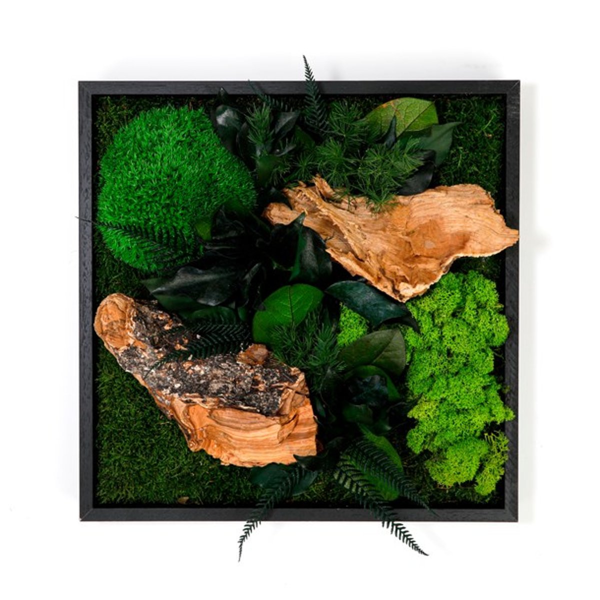 Tableau végétaux stabilisés 35x35cm multicolore, NATURE ET DECOUVERTES
