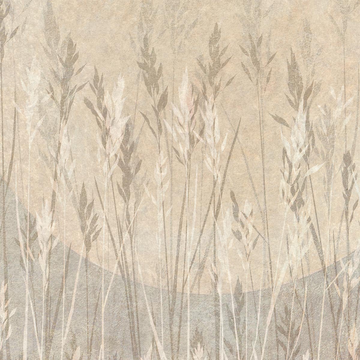 Papier peint lune et bles intissé, HEXOA