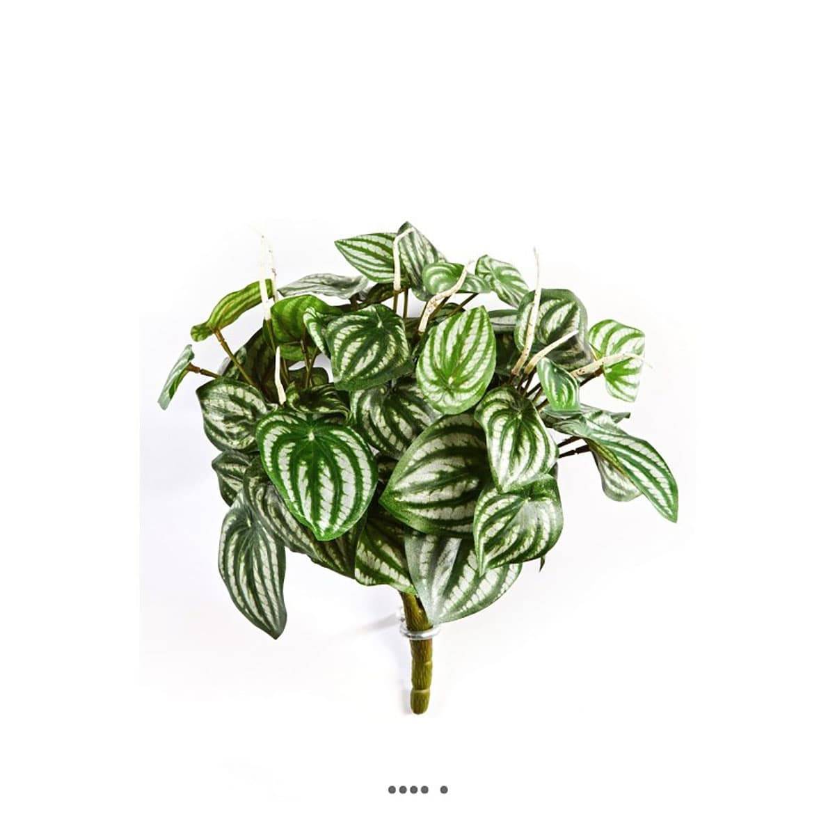 Peperomia artificiel Vert Blanc 30 cm 52 feui vert, ARTIFICIELLES