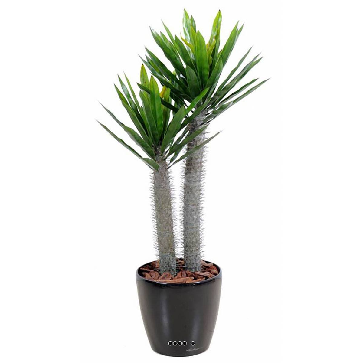 Pachypodium artificiel en pot pour extérieur vert, ARTIFICIELLES