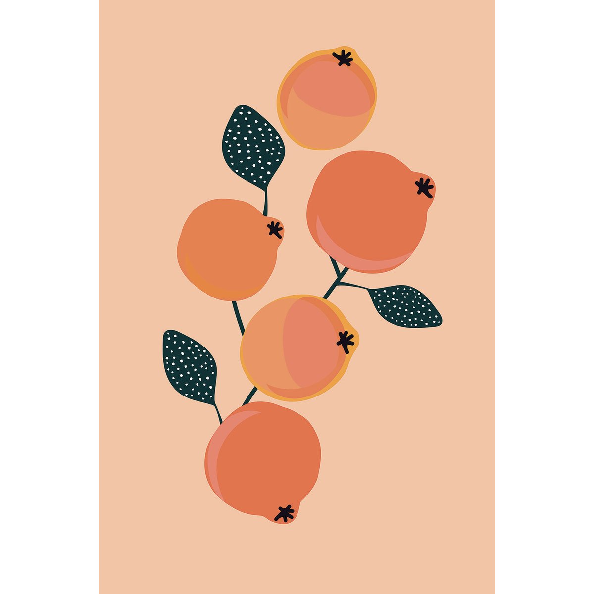 Tableau fruits vintage grenades orangées tableau alu dibond, HEXOA