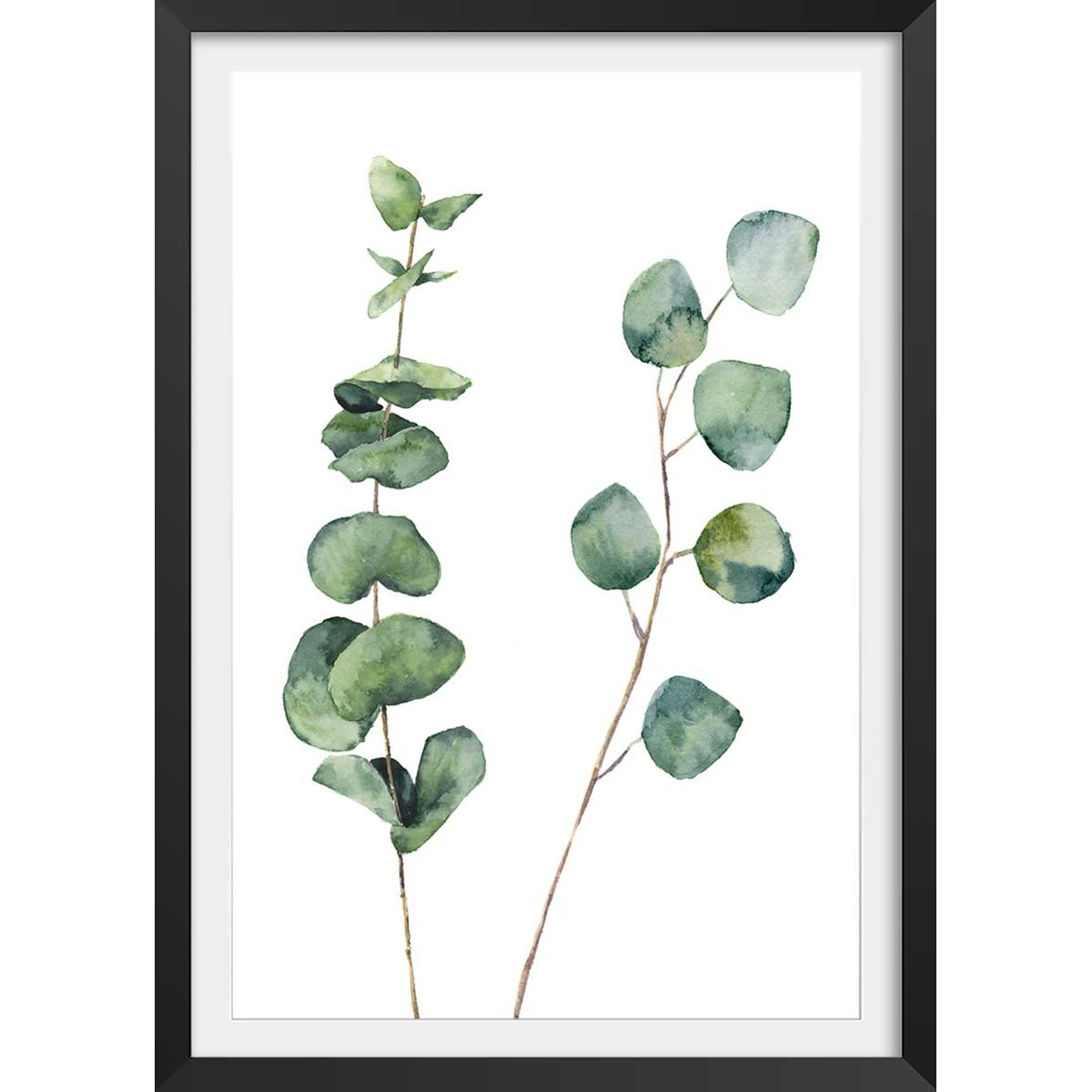 Affiche nature aquarelle feuille d' eucalyptus affiche + cadre en bois - noir, HEXOA
