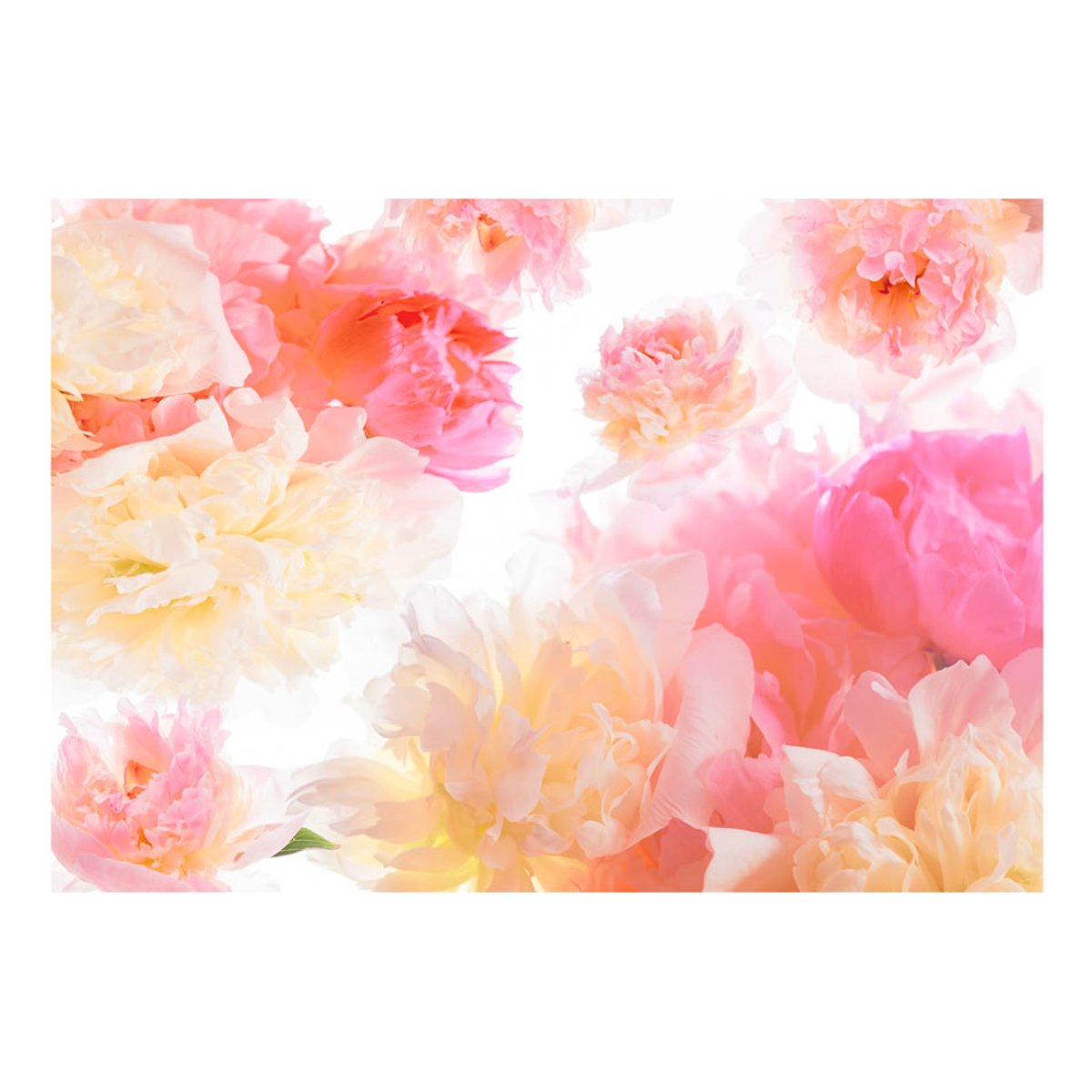 Papier peint intissé panoramique Fleurs Pastel peonies violet, EDEN