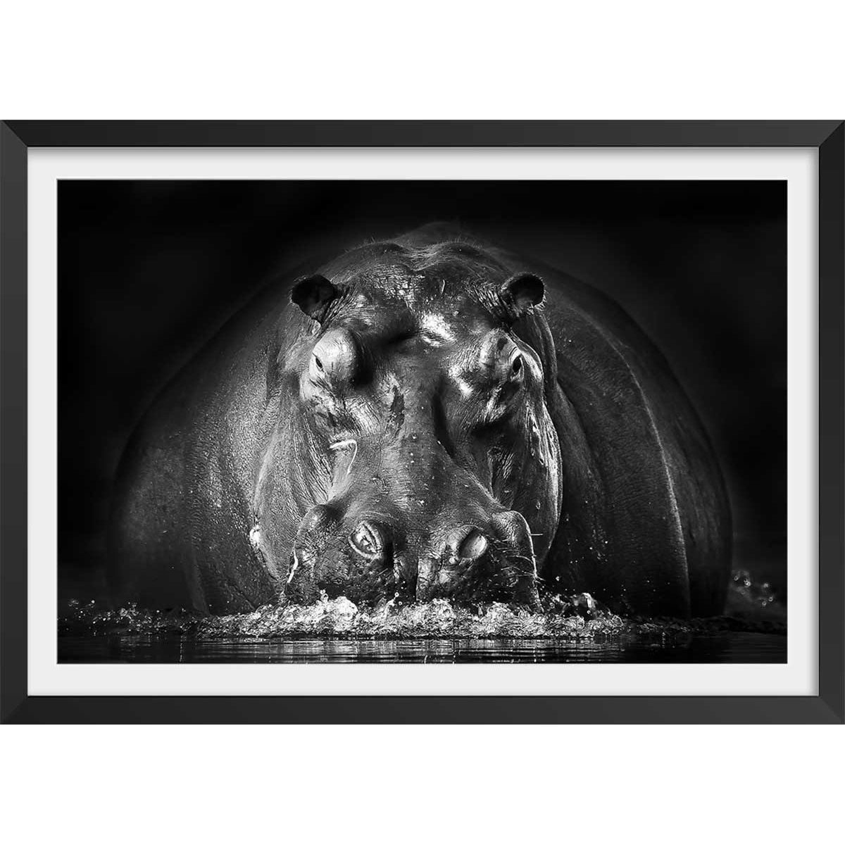 Affiche animaux portrait hippo affiche + cadre en bois - noir, HEXOA