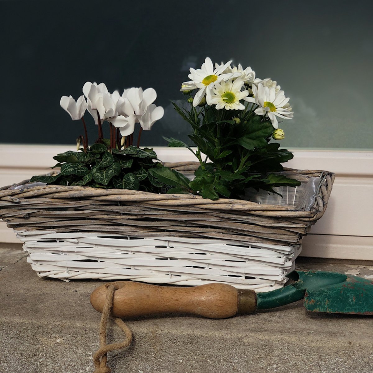 Jardinière Osier Blanc et Gris 38 cm couleur unique, AUBRY GASPARD
