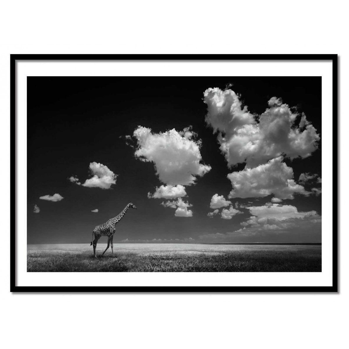 Affiche d'art - Gone with the Clouds - Alberto Ghizzi Panizza affiche d'art, WALL EDITIONS