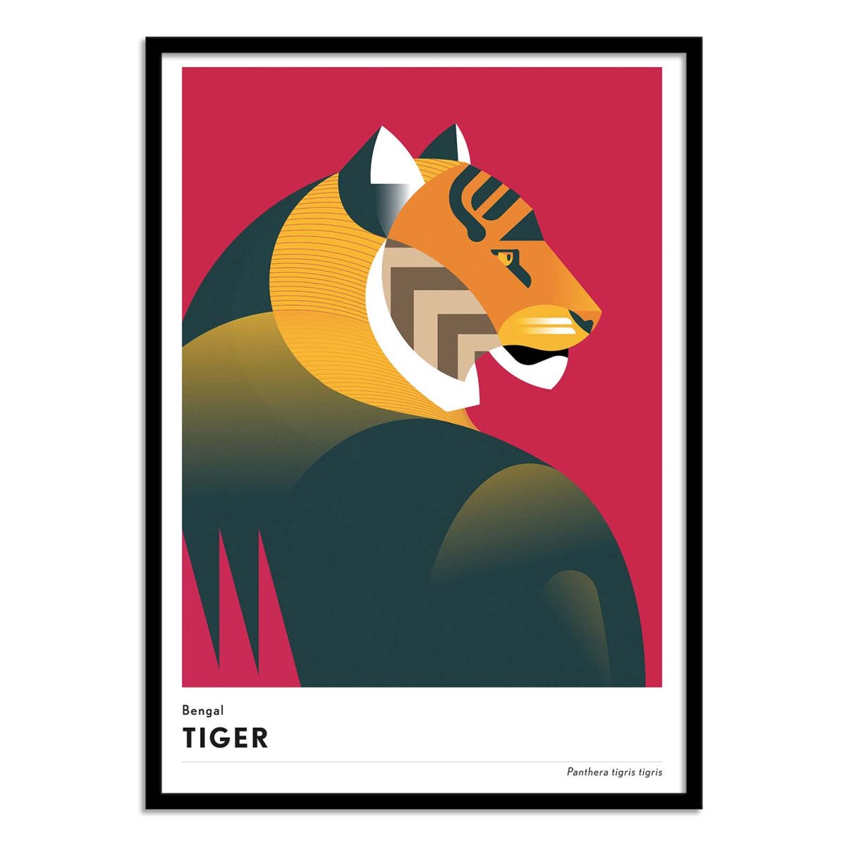 Affiche d'art - Bengal tiger - Mark Harrison rouge, WALL EDITIONS