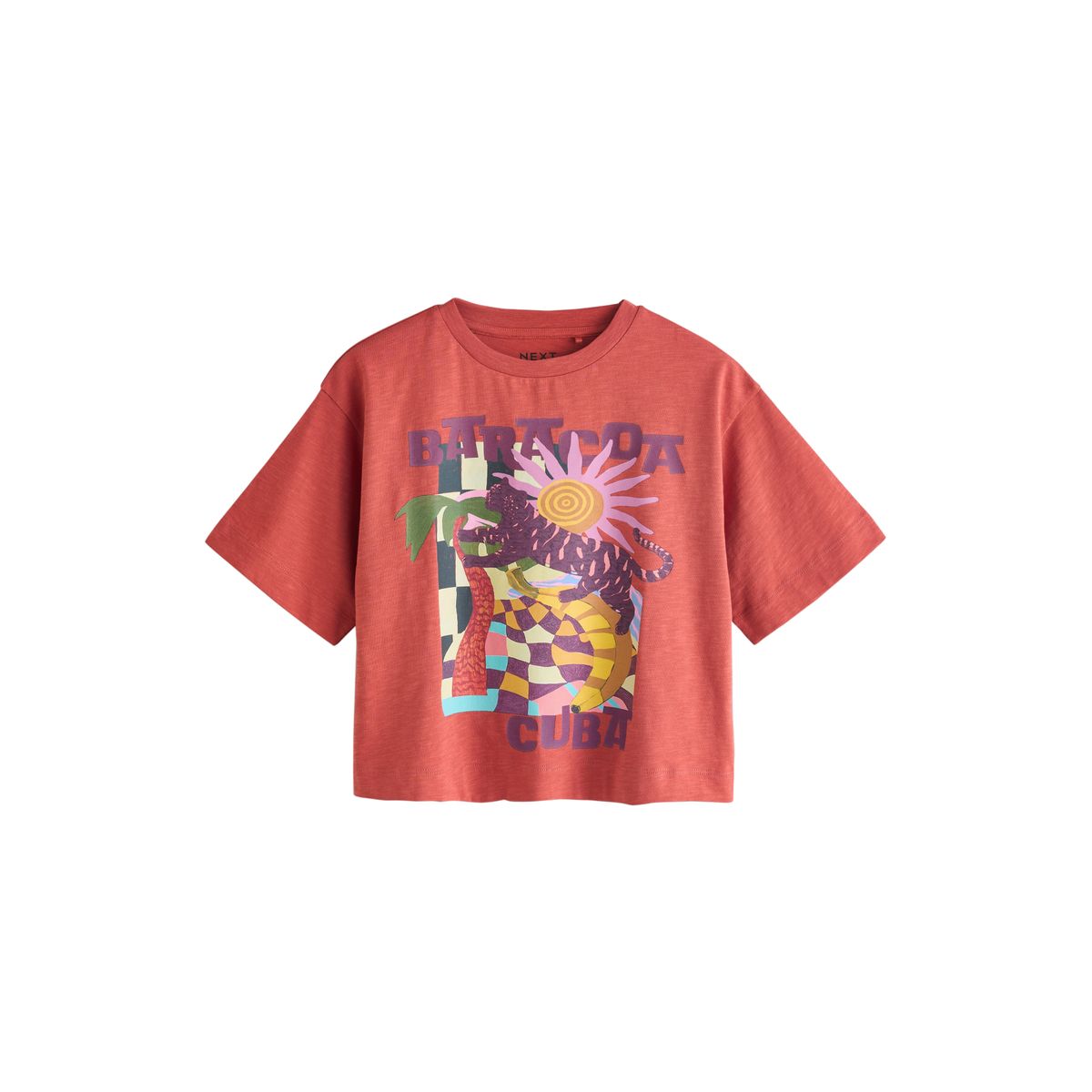 T-shirt à imprimé graphique, lot de 4 violet/orange, NEXT