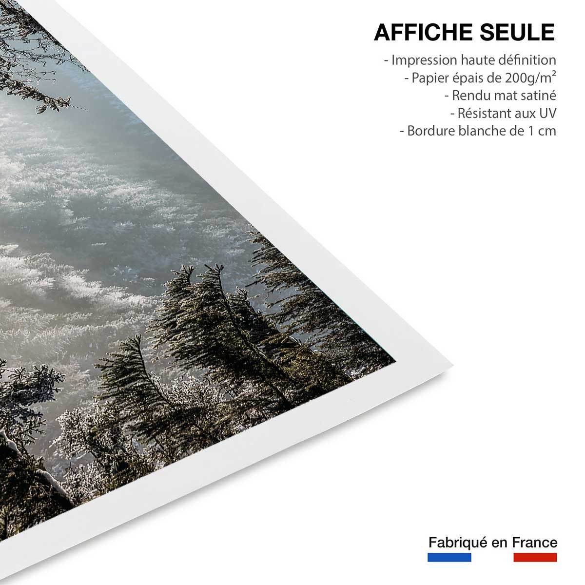 Affiche paysage forest in fog drama affiche seule, HEXOA