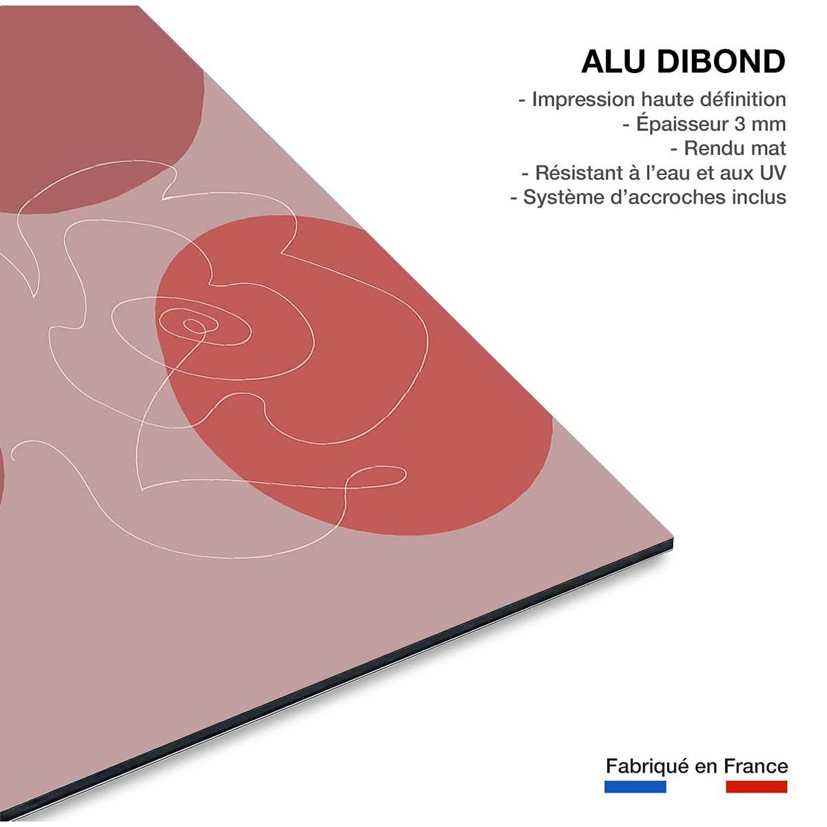 Tableau Line art et courbe rose tableau alu dibond, HEXOA