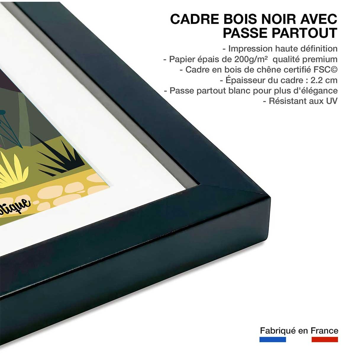 Poster de jardin exotique d' eze affiche + cadre en bois - noir, HEXOA