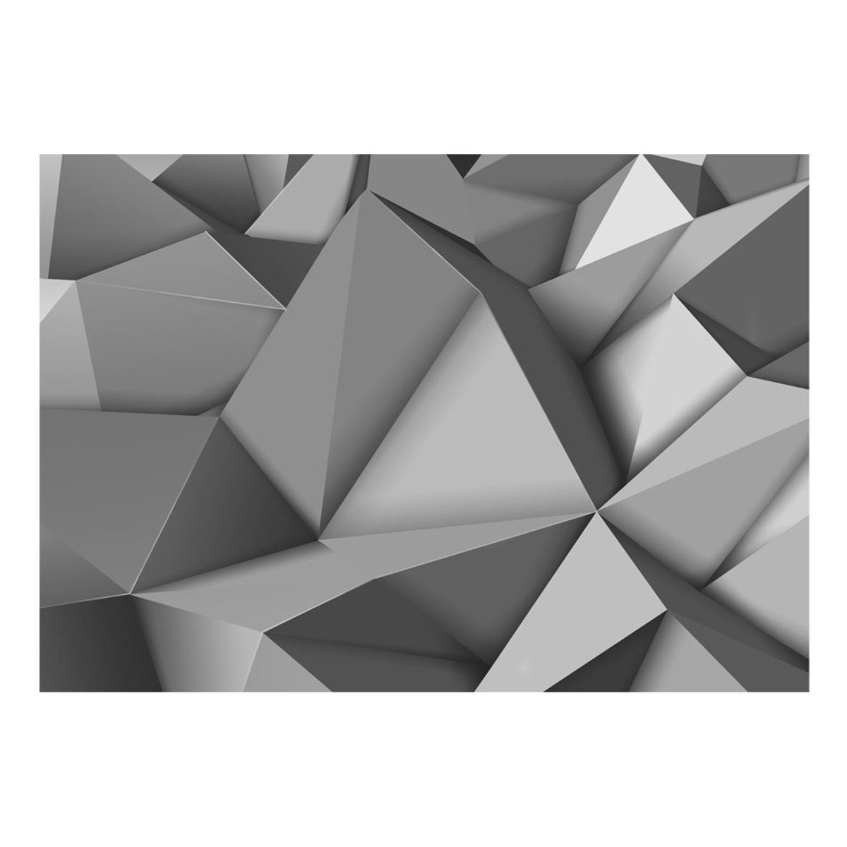 Papier peint intissé panoramique 3D et Perspective Graphite fantasy gris / argent, EDEN