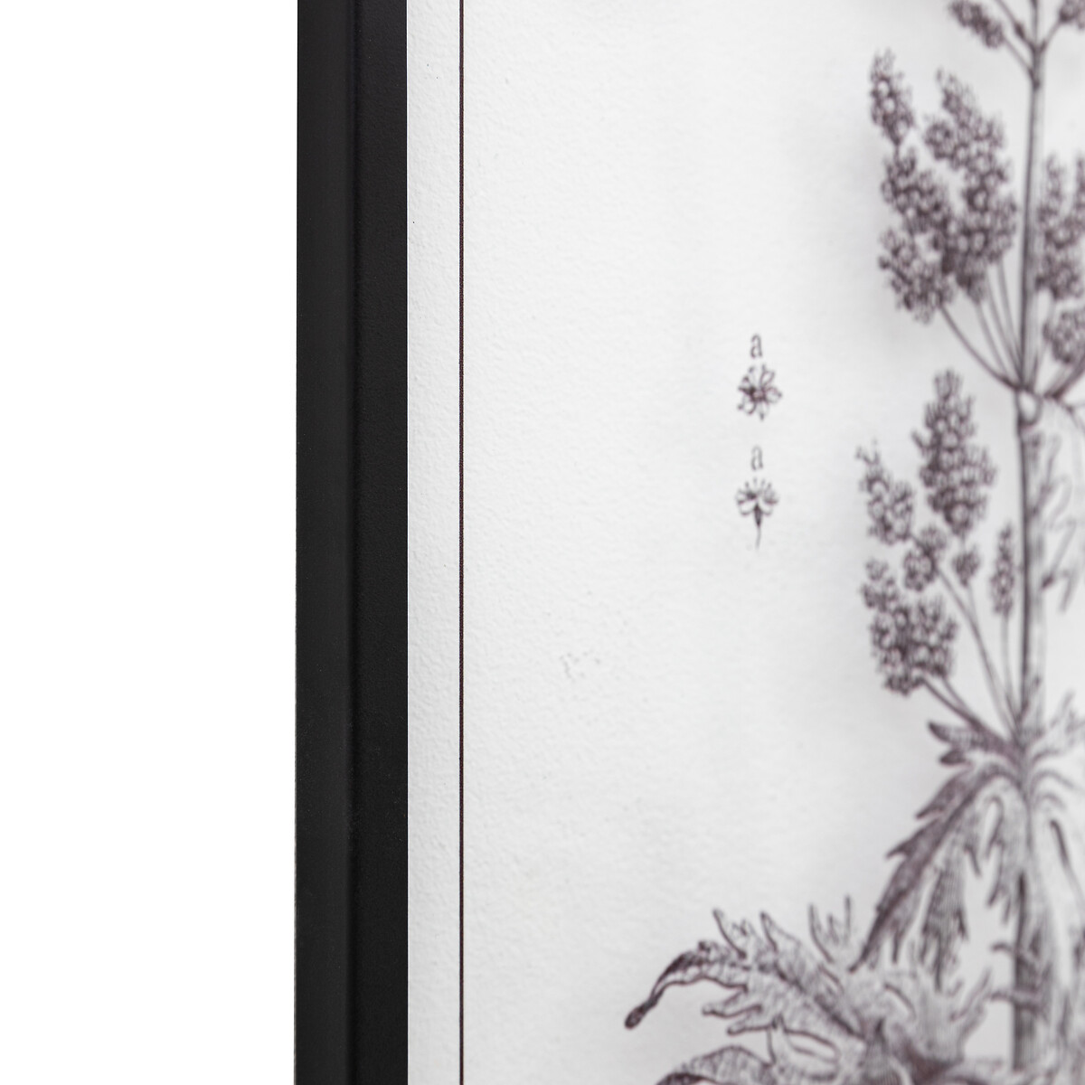 Set of 2 Petiole Art black, ÉDITÉ