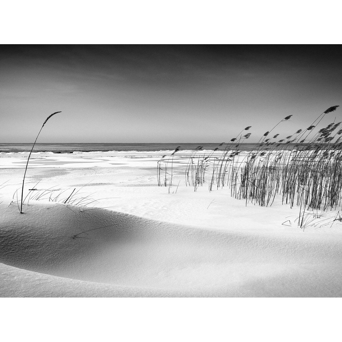 Papier peint plage des landes en n&b intissé, HEXOA
