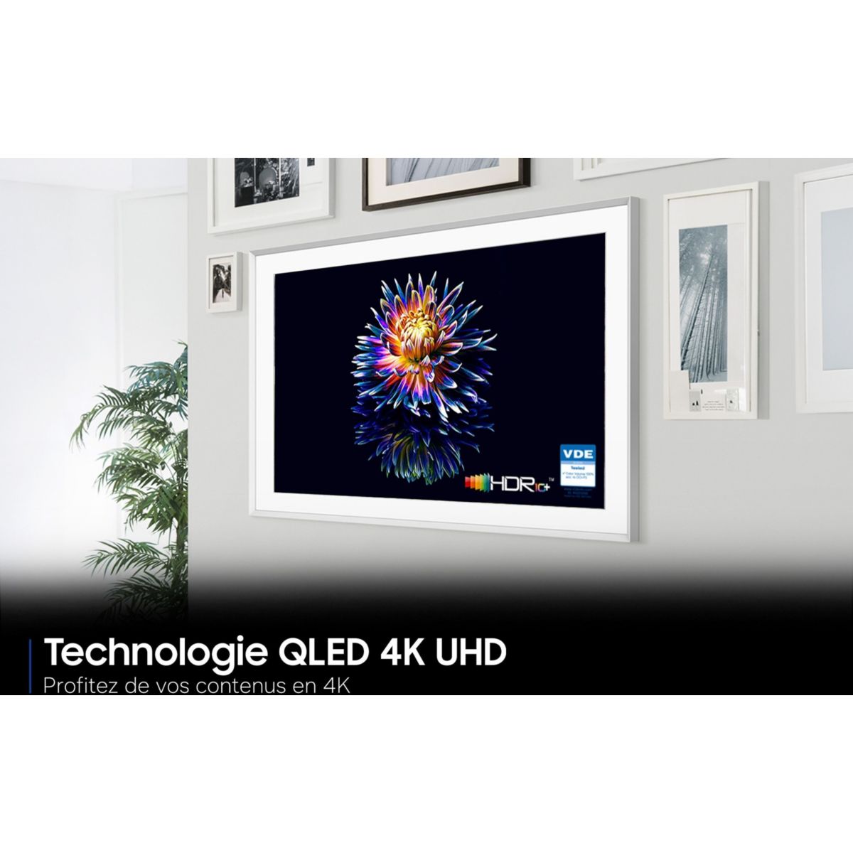 TV QLED The Frame TQ65LS03HA (2026) 65" (163 cm) 4K - Mode art (effet tableau), boîtier déporté, anti-reflet couleur unique, SAMSUNG