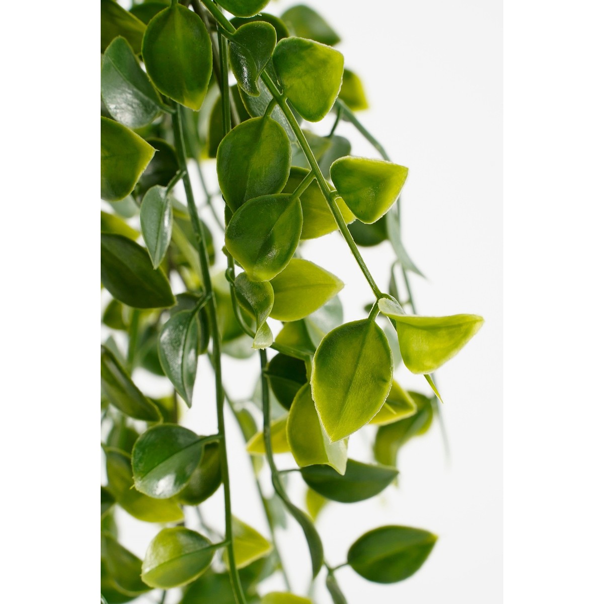 Plante artificielle FICUS vert, MICA DECORATIONS