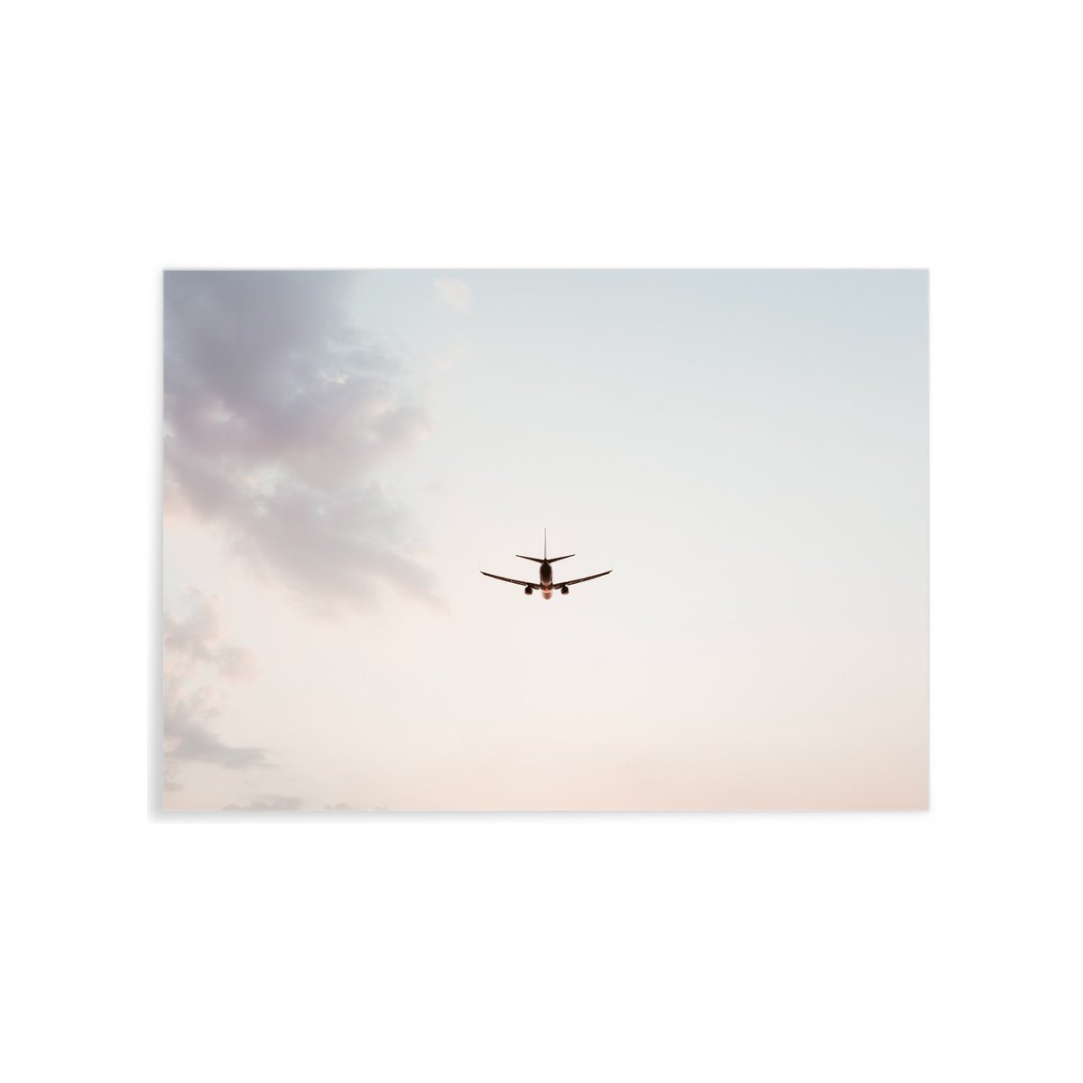 Poster Nature Avion blanc, L'AFFICHERIE