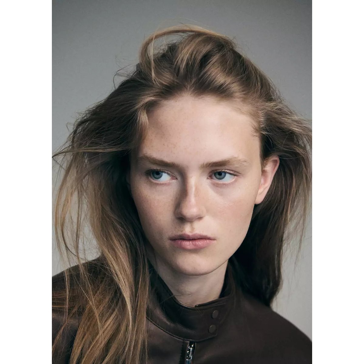 Veste cuir col officier marron, MANGO