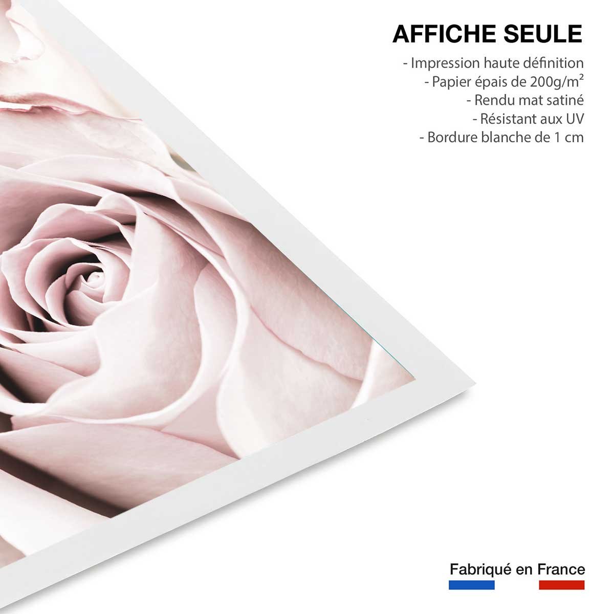 Affiche rosa romantica affiche seule, HEXOA
