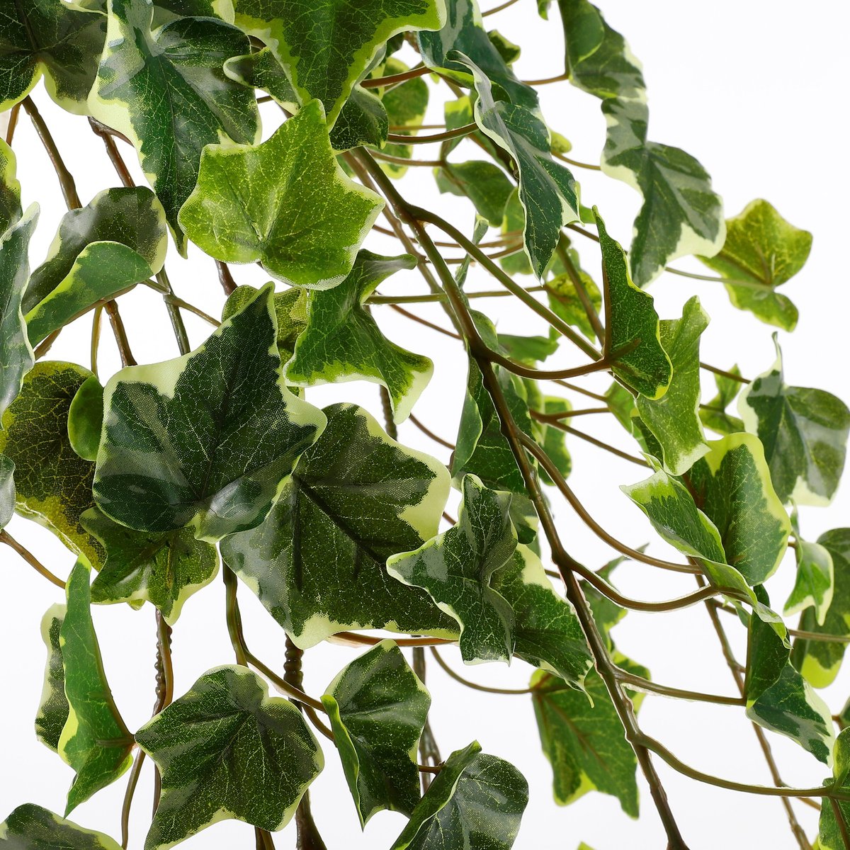 Plante artificielle suspendue IVY vert, MICA DECORATIONS