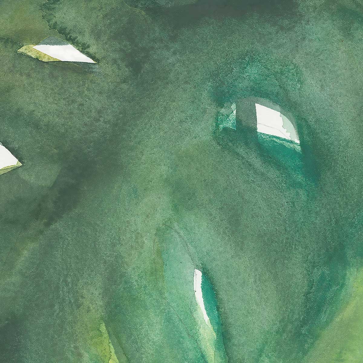 Affiche Plante monstera watercolor affiche + cadre en bois - noir, HEXOA