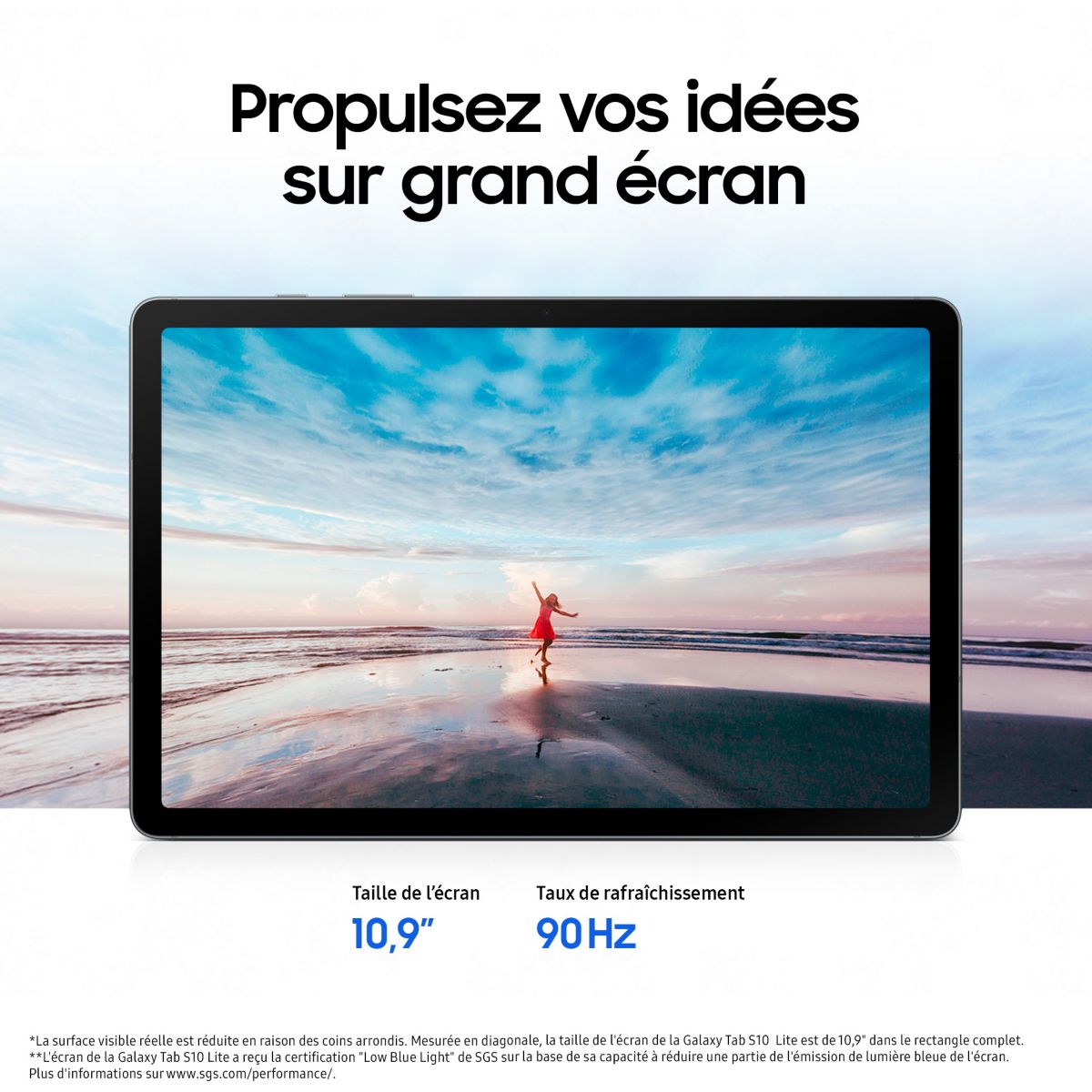Tablette Android Galaxy Tab S10 Lite 10.9 Wifi 256Go Gris avec Galaxy IA gris, SAMSUNG