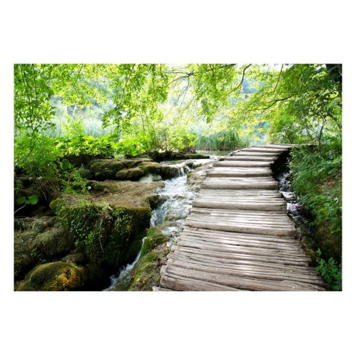Papier peint intissé panoramique Paysage Forest path vert, EDEN