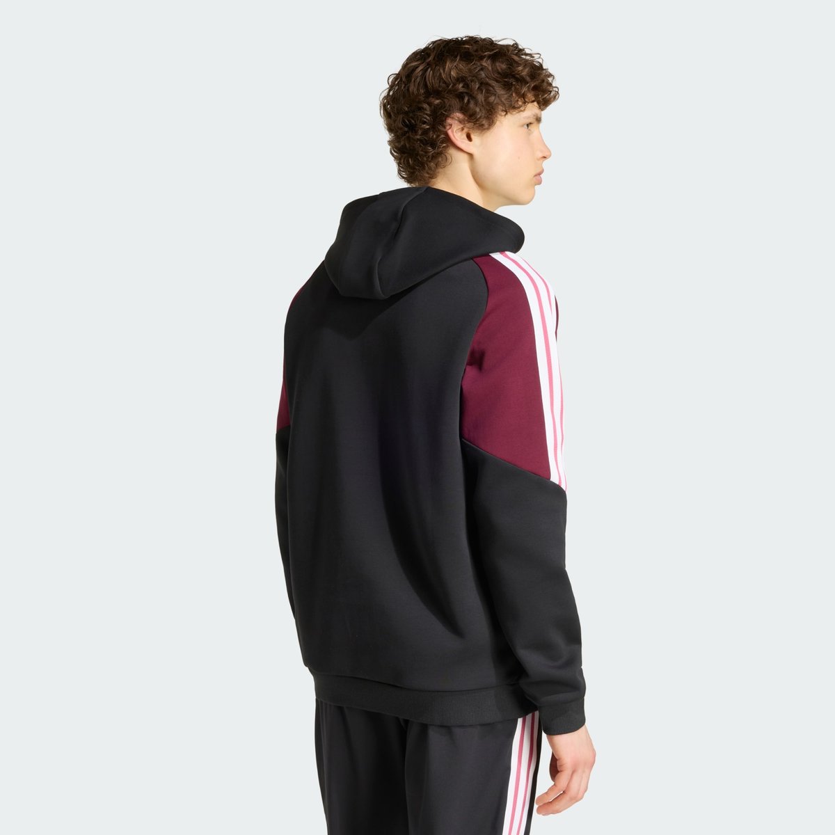Sweat-Shirt À Capuche All Blacks Sweat-Shirt À Capuche All Blacks all black / maroon, adidas Performance