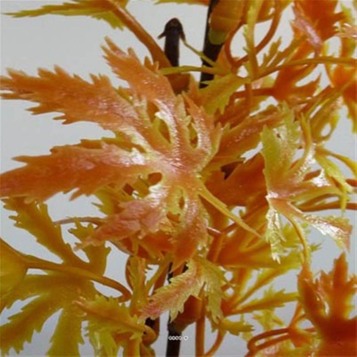 Branche de feuilles de Papaye factice H35cm plastique ext Jaune-orange - couleur: Jaune-orange autres, ARTIFICIELLES
