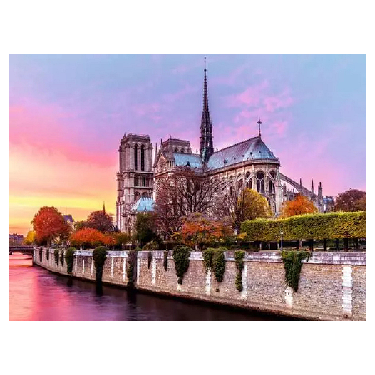 Puzzle 1500 pieces - Pittoresque Notre-Dame couleur unique, RAVENSBURGER