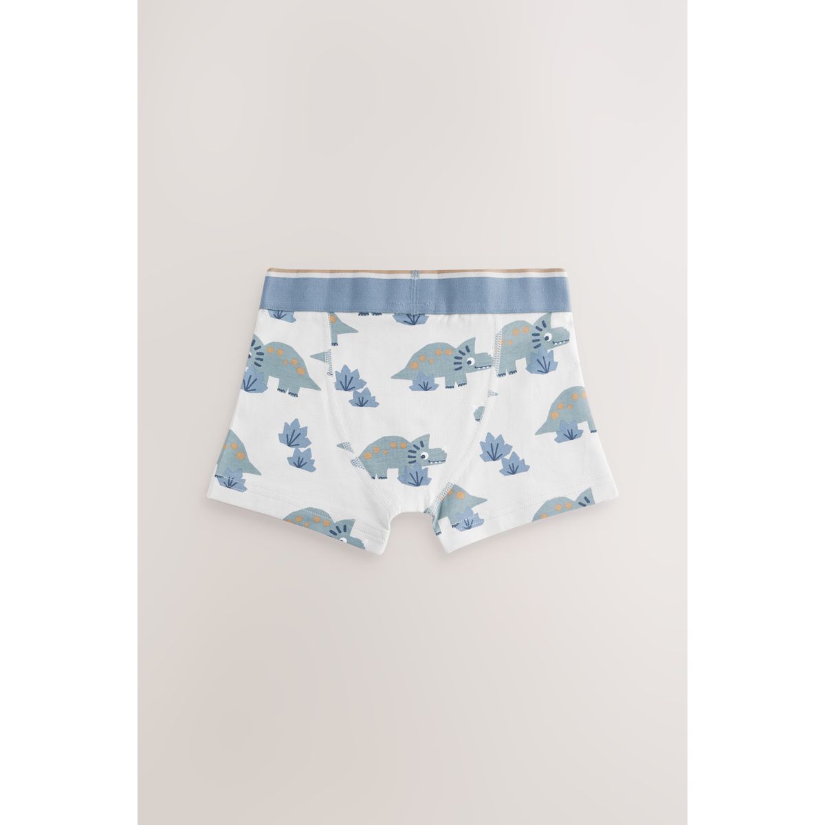 Boxer, lot de 5 dino bleu/marron, NEXT