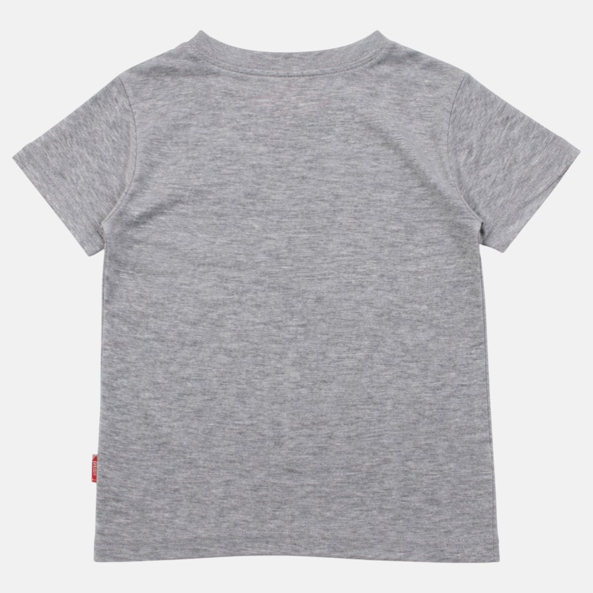T-shirt manches courtes imprimé skateboard, col rond SKATE PARK gris, LEE COOPER