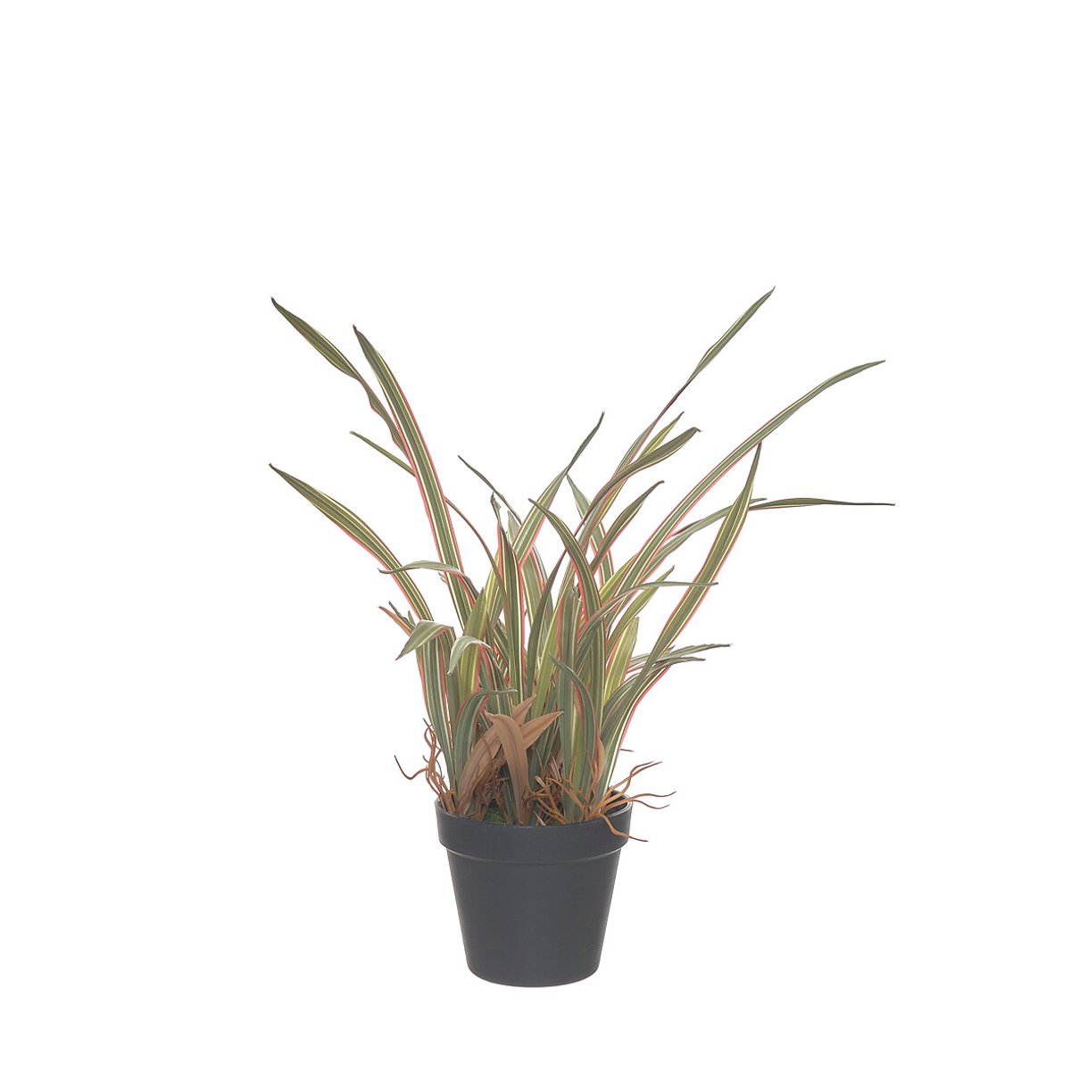 Planta artificial "Spider" 44cm, BORGHESI verde, BORGHESI