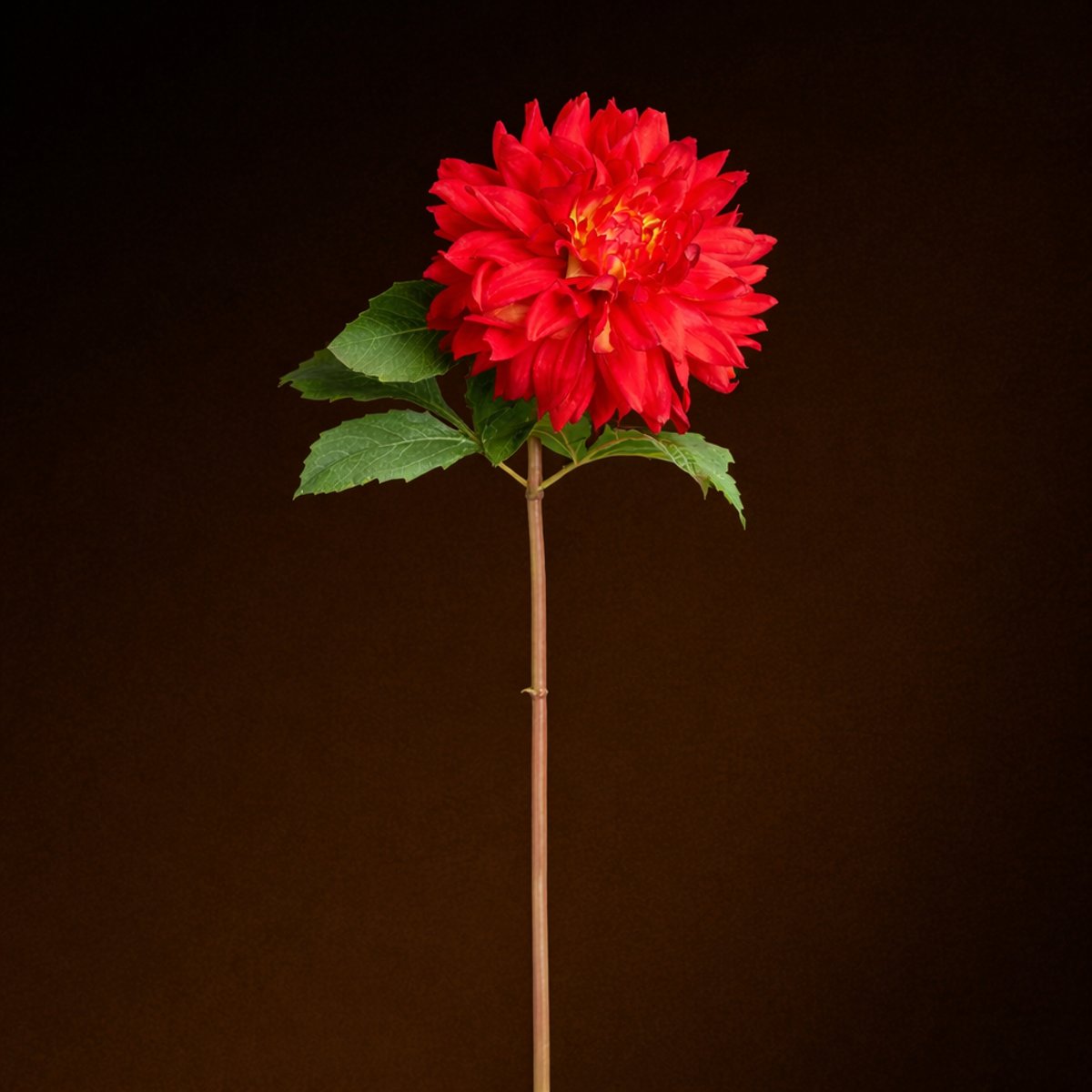 Tige de dahlia artificielle H70 MONICA rouge, SIA DECO