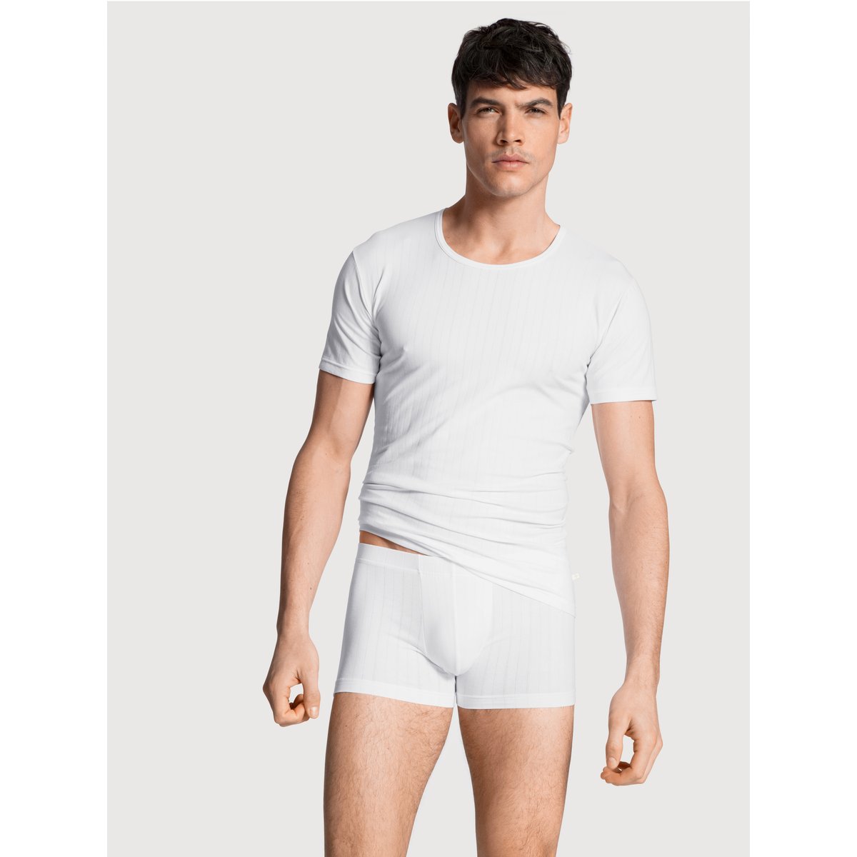 Boxer brief, ceinture recouverte Coton PURE & STYLE blanc, CALIDA