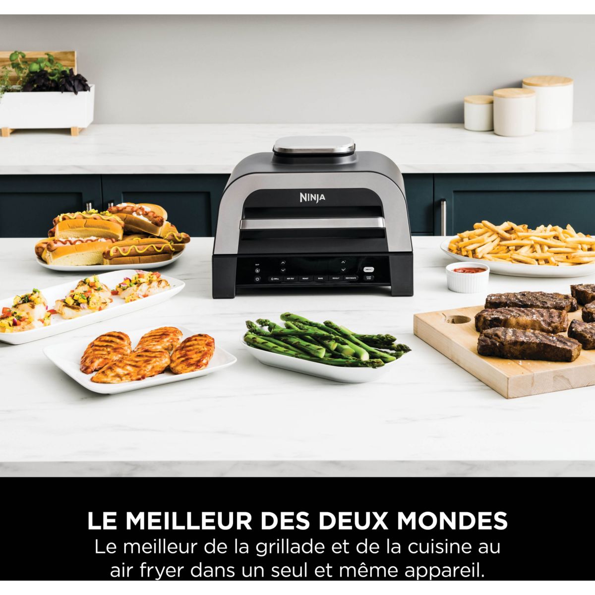 Grille-viande Foodi DG551EU thermosonde à poser, 40x27 cm couleur unique, NINJA