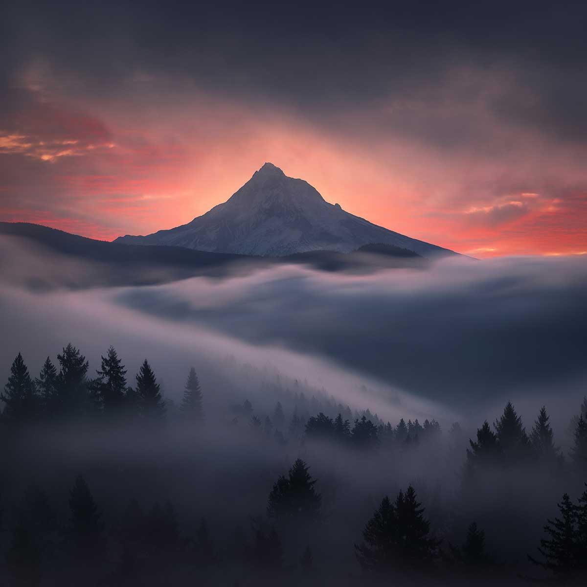 Tableau Brume en Oregon tableau alu dibond, HEXOA