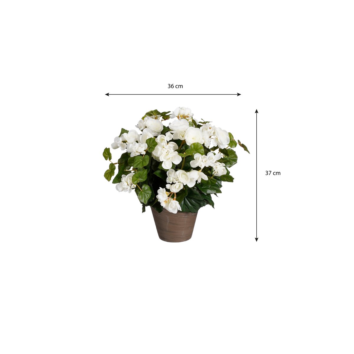 Plante artificielle BEGONIA blanc, MICA DECORATIONS