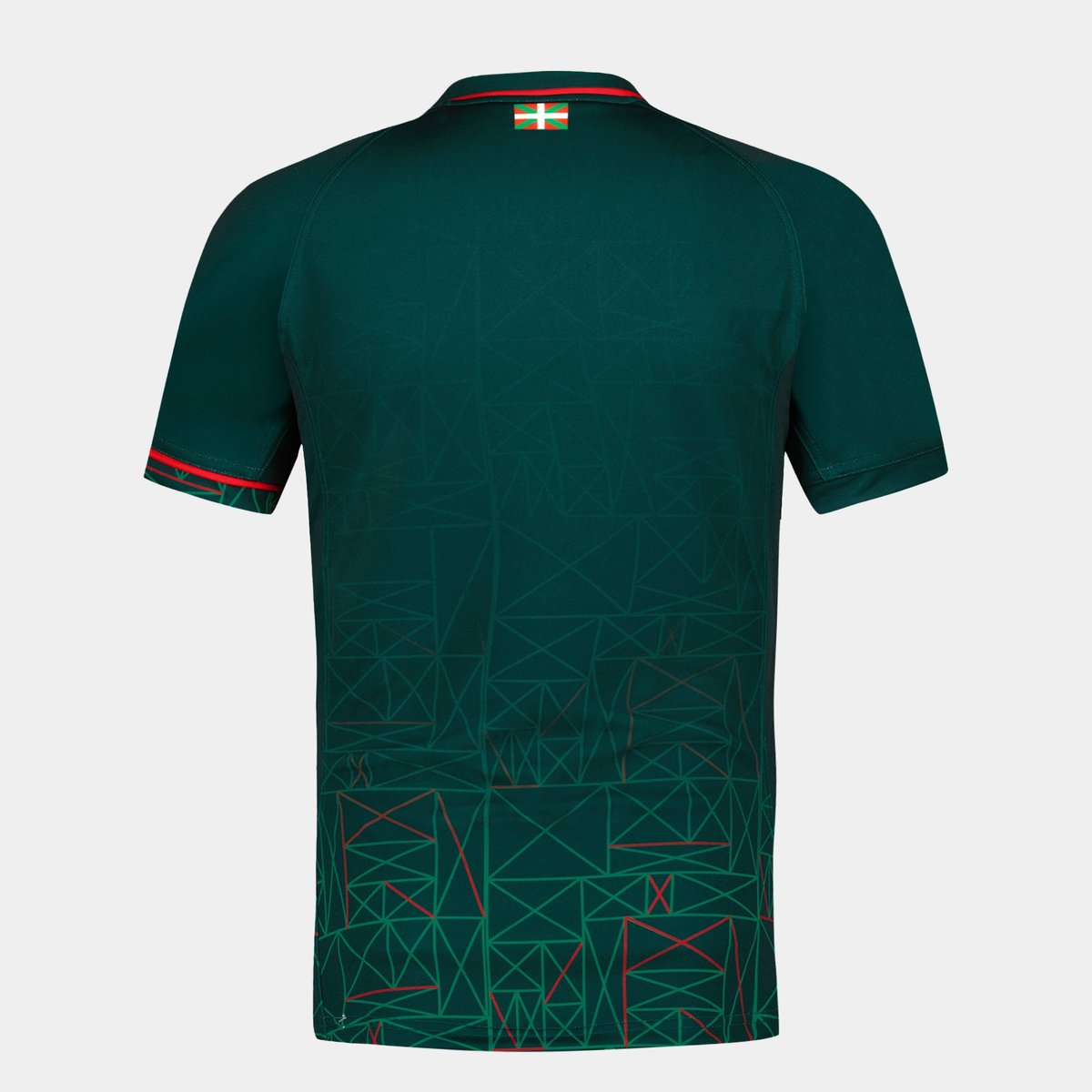 Maillot Aviron Bayonnais veronne, LE COQ SPORTIF