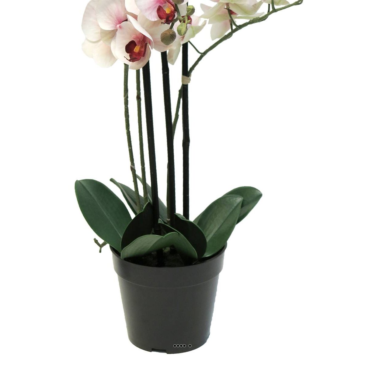 Orchidée Phalaenopsis faux 3 hampes H60 cm rose-crème, ARTIFICIELLES
