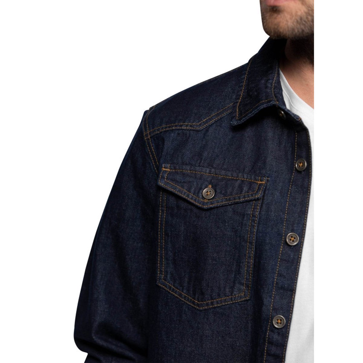 Chemise Daytona coton avec manches longues et col à rabats brut brut, DAYTONA