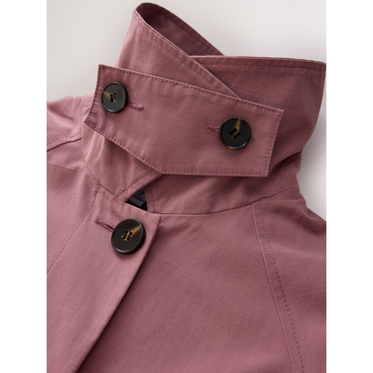Trench-coat dolly rose, NEXT