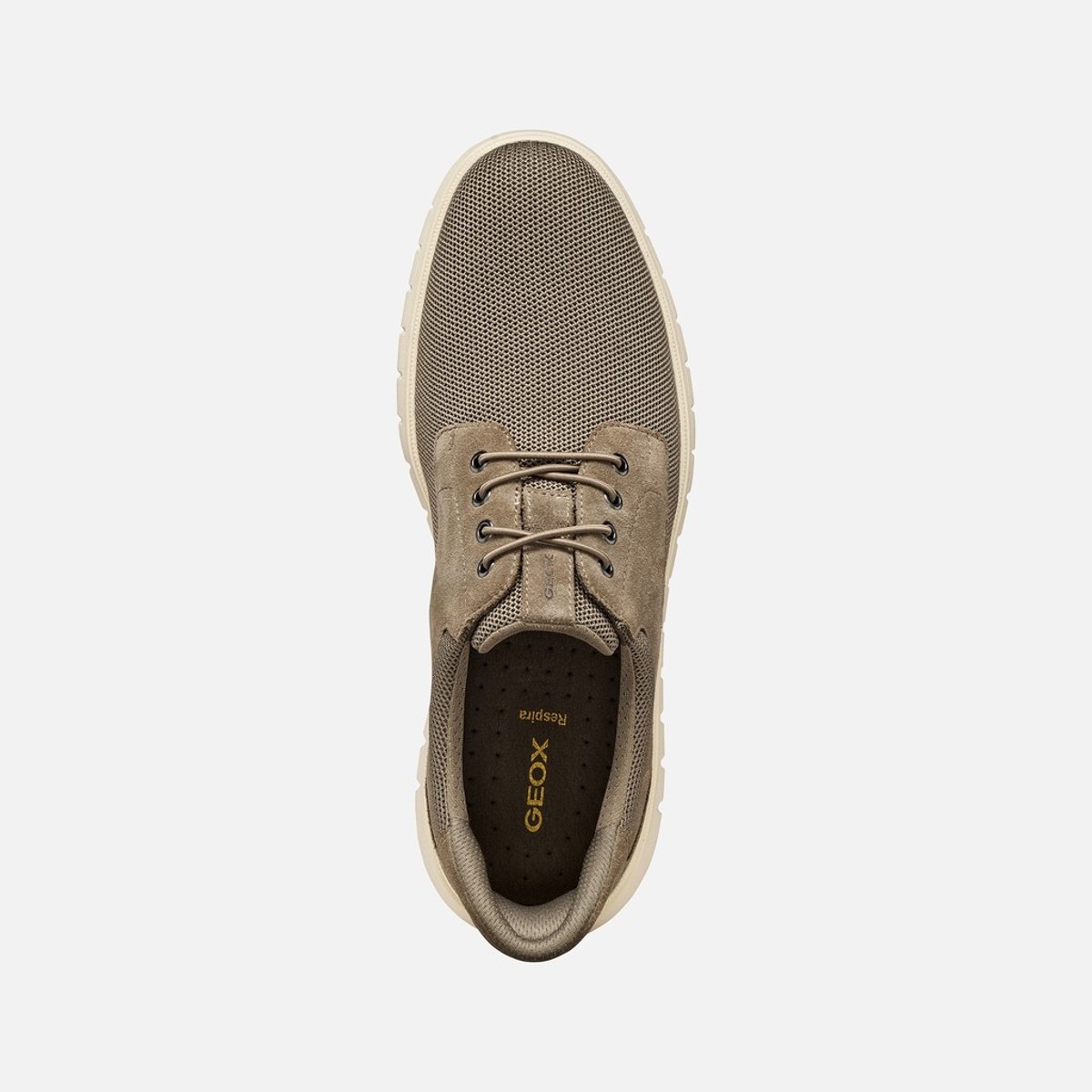 Baskets  U FLEXTRIDE F PLUS taupe, GEOX