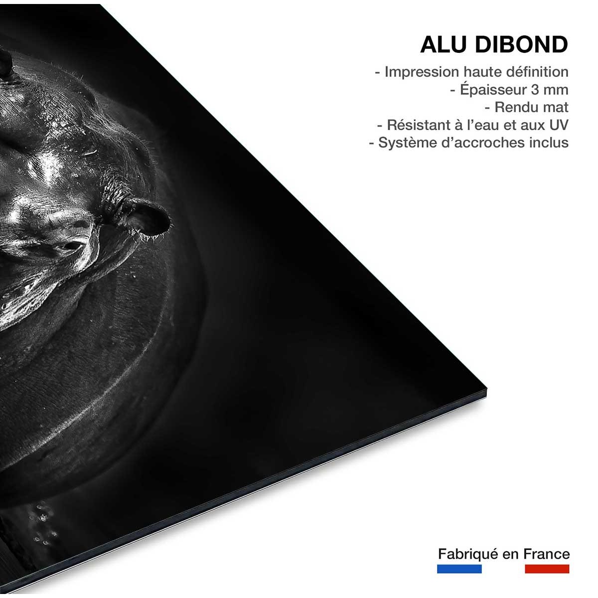 Tableau animaux portrait hippo tableau alu dibond, HEXOA