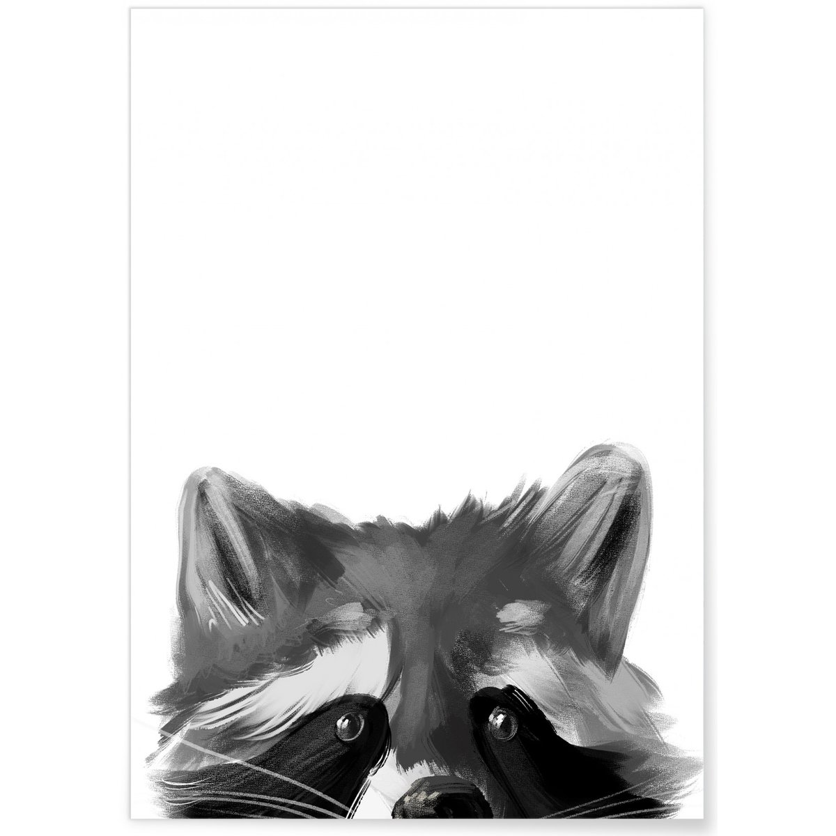 Affiche Racoon blanc, L'AFFICHERIE
